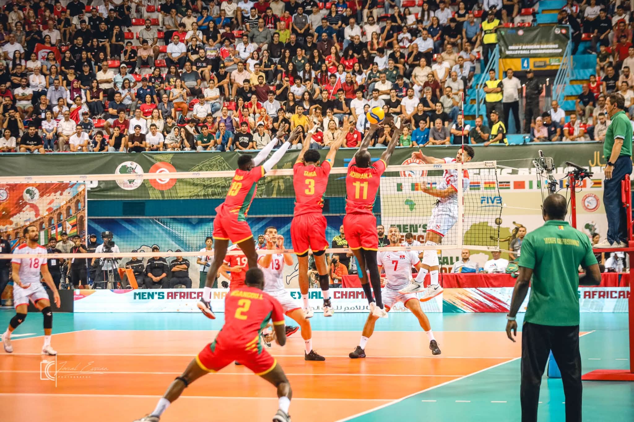 CHAN masculin Tunis 2026 : le Cameroun vice-champion d’Afrique, trois Lions dans la Dream Team