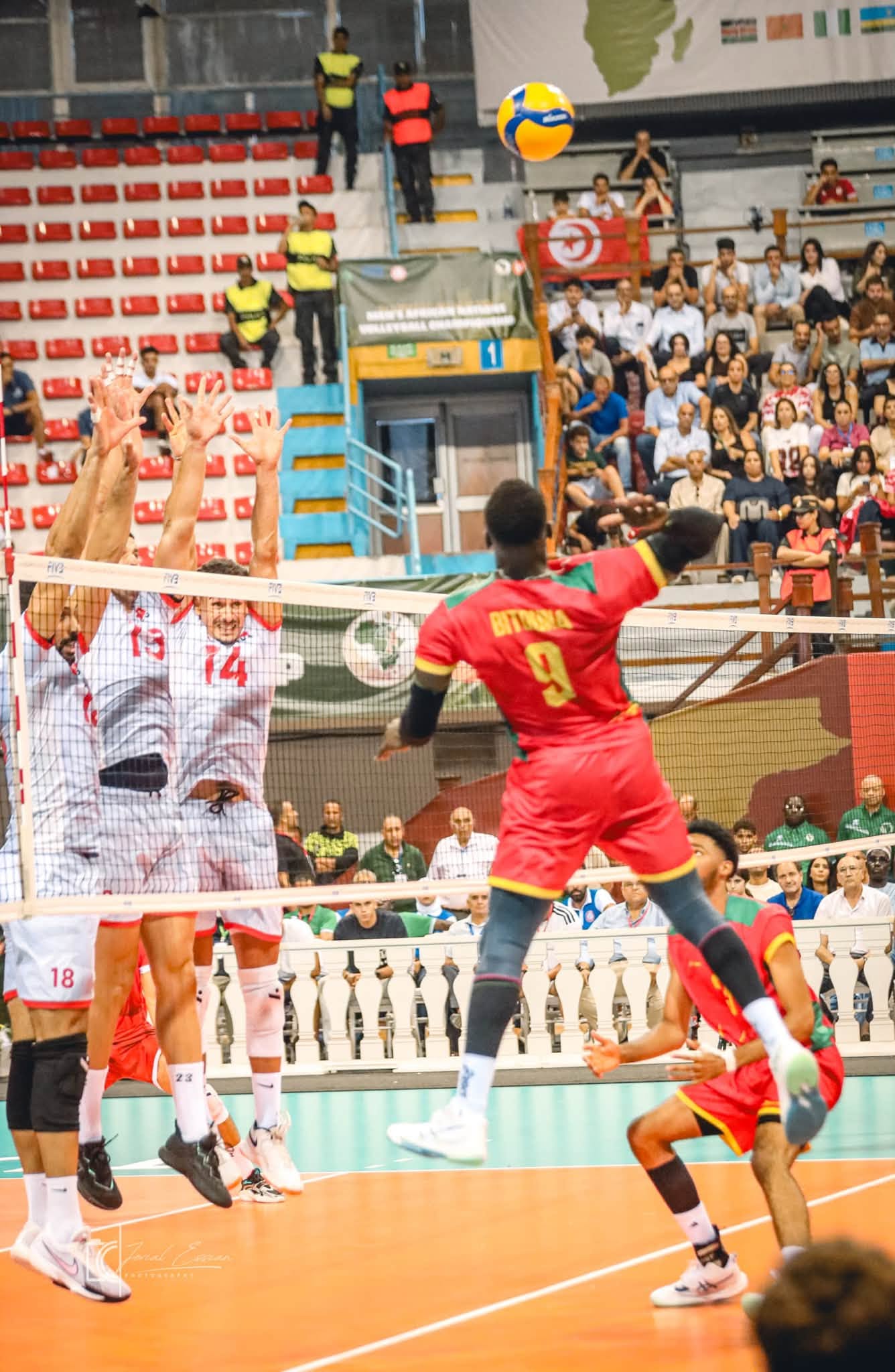 CHAN masculin Tunis 2026 : le Cameroun vice-champion d’Afrique, trois Lions dans la Dream Team — image 4