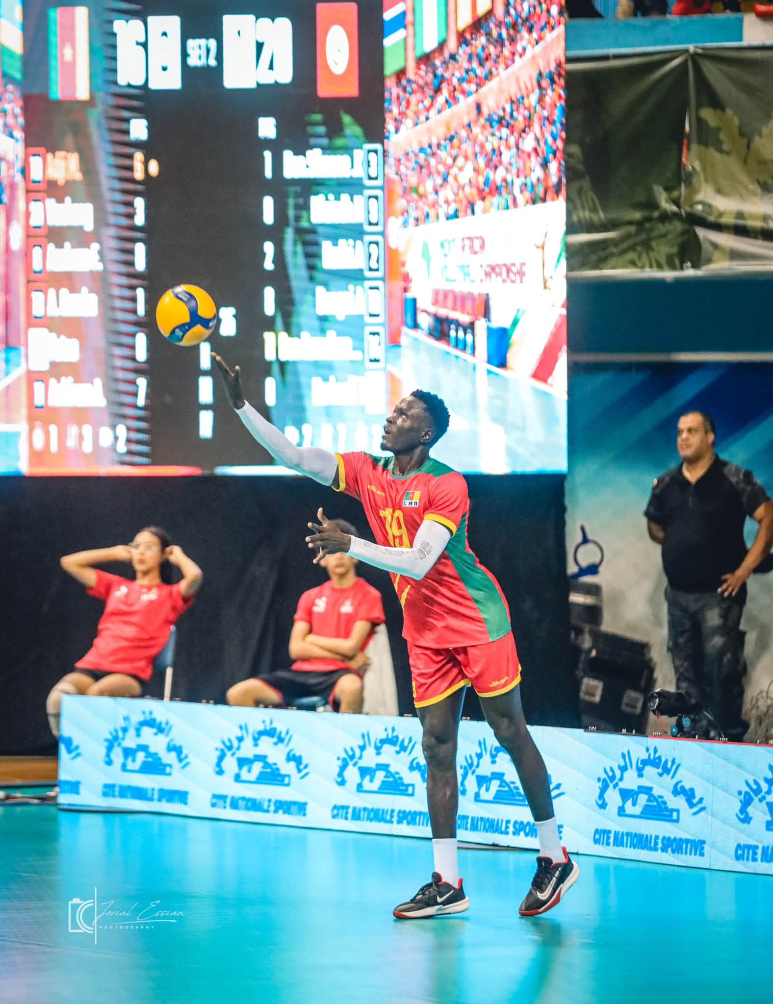 CHAN masculin Tunis 2026 : le Cameroun vice-champion d’Afrique, trois Lions dans la Dream Team — image 15