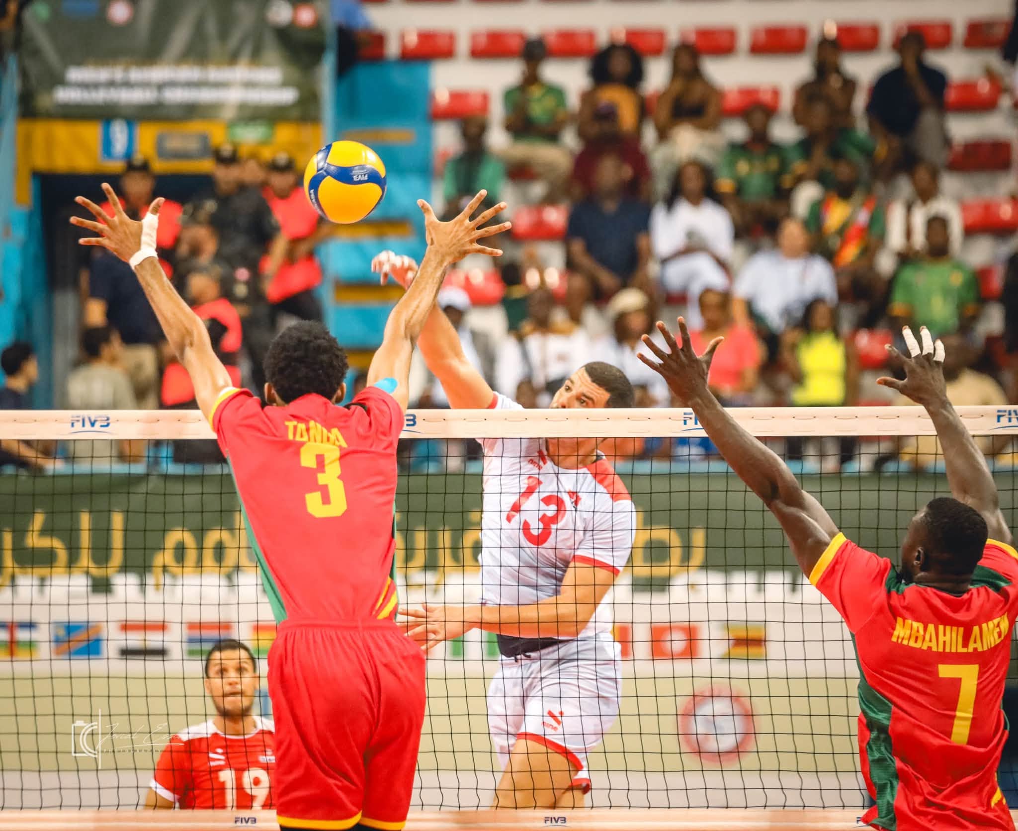CHAN masculin Tunis 2026 : le Cameroun vice-champion d’Afrique, trois Lions dans la Dream Team — image 7