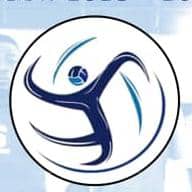 Logo Dynamic Volleyball de Douala